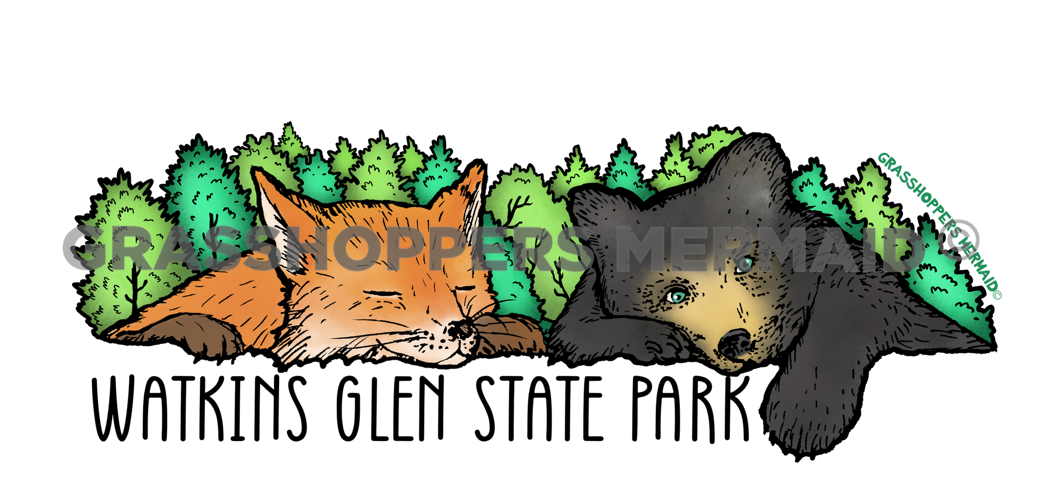 Black Bear & Fox Nap