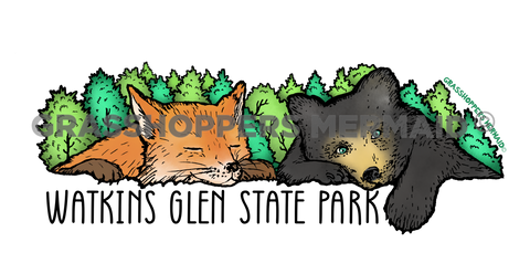 Black Bear & Fox Nap
