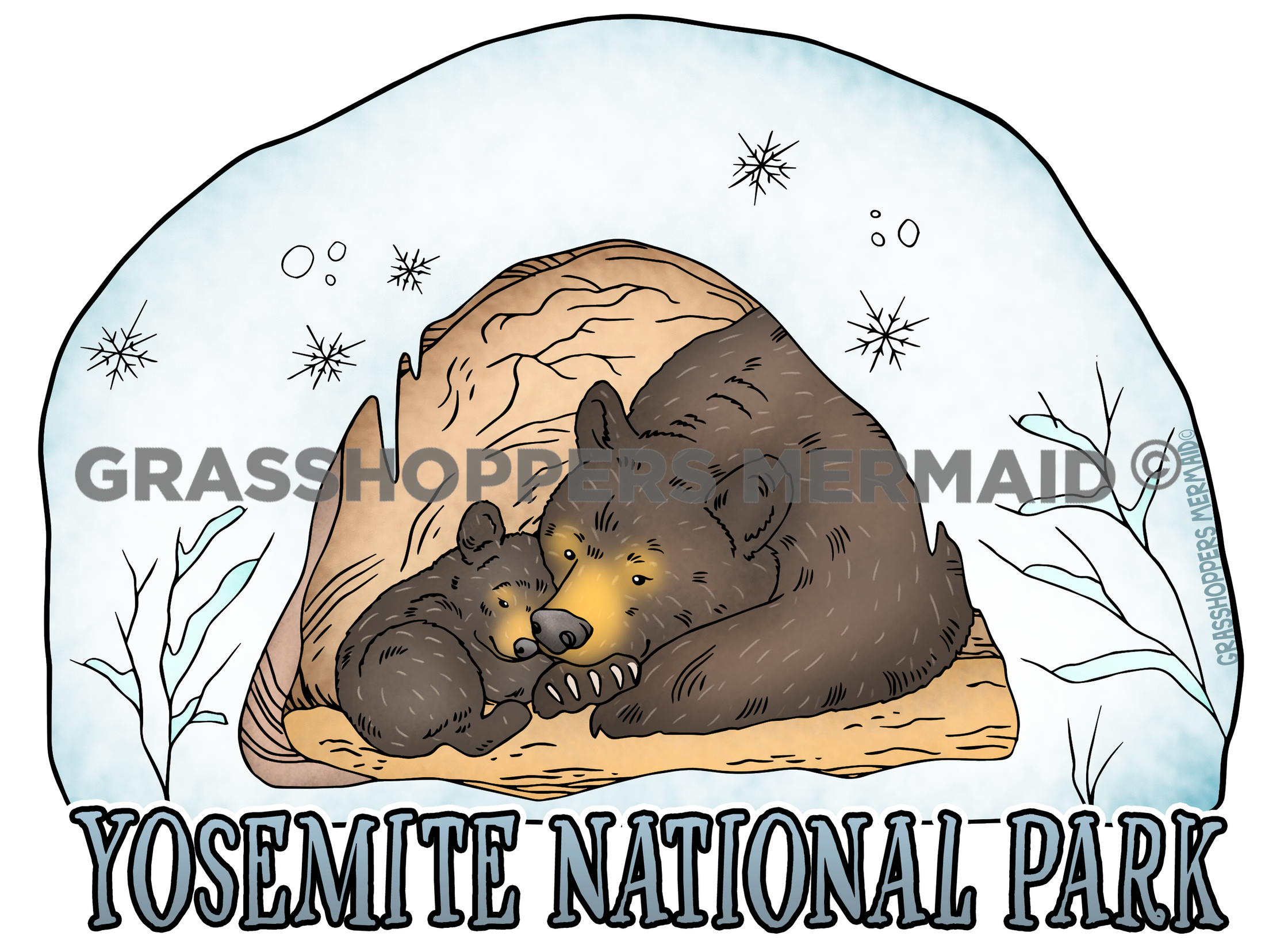 Black Bear Winter Den