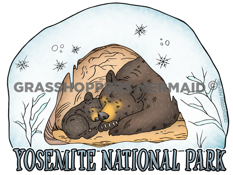 Black Bear Winter Den