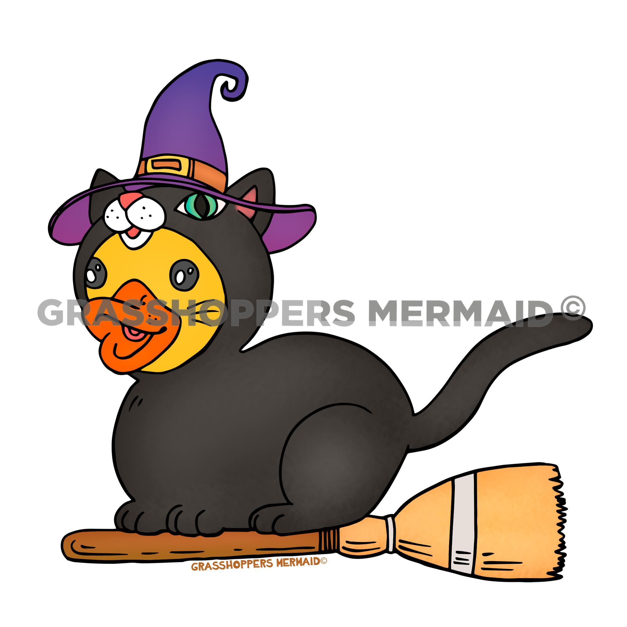 Black Cat Witch Duck