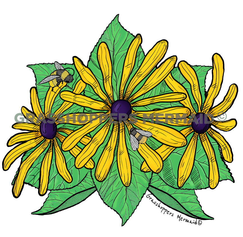 Blackeyed Susans