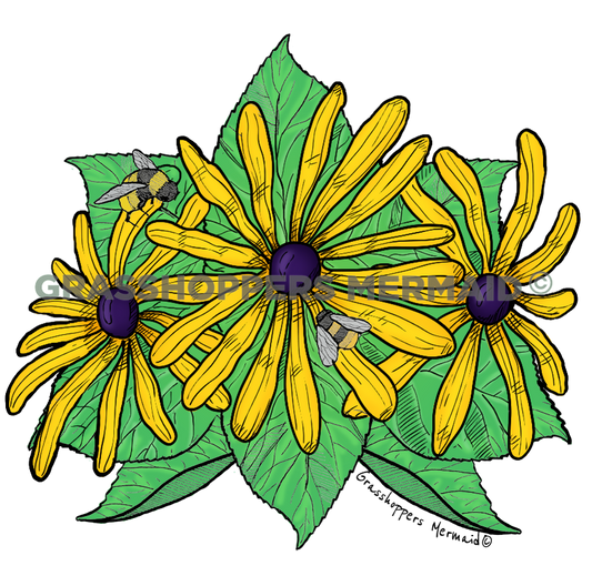 Blackeyed Susans