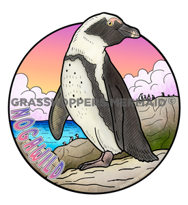 Blackfooted African Penguin