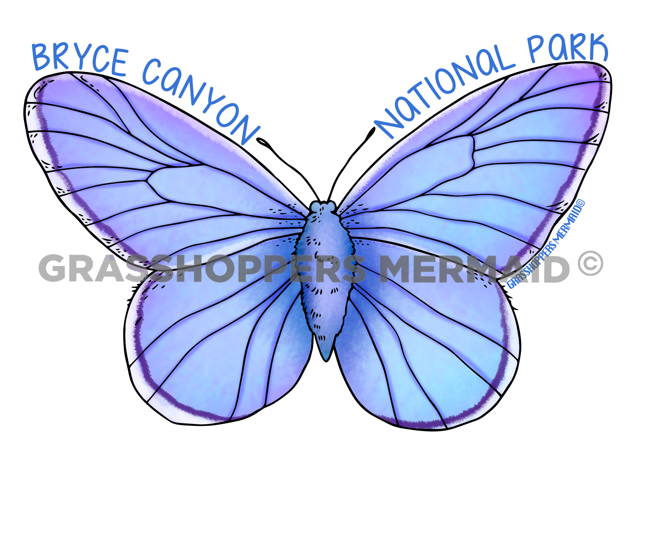 Blue Copper Butterfly