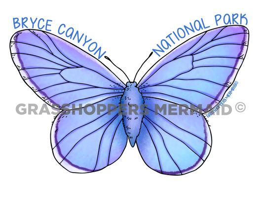 Blue Copper Butterfly