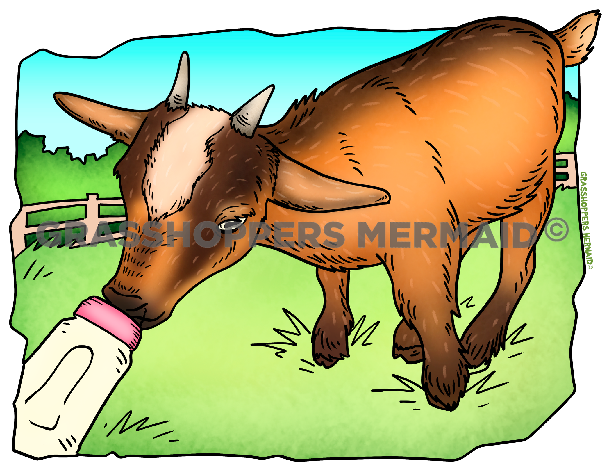 Bottle Feeding Goat