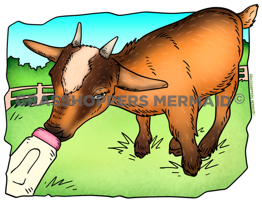Bottle Feeding Goat