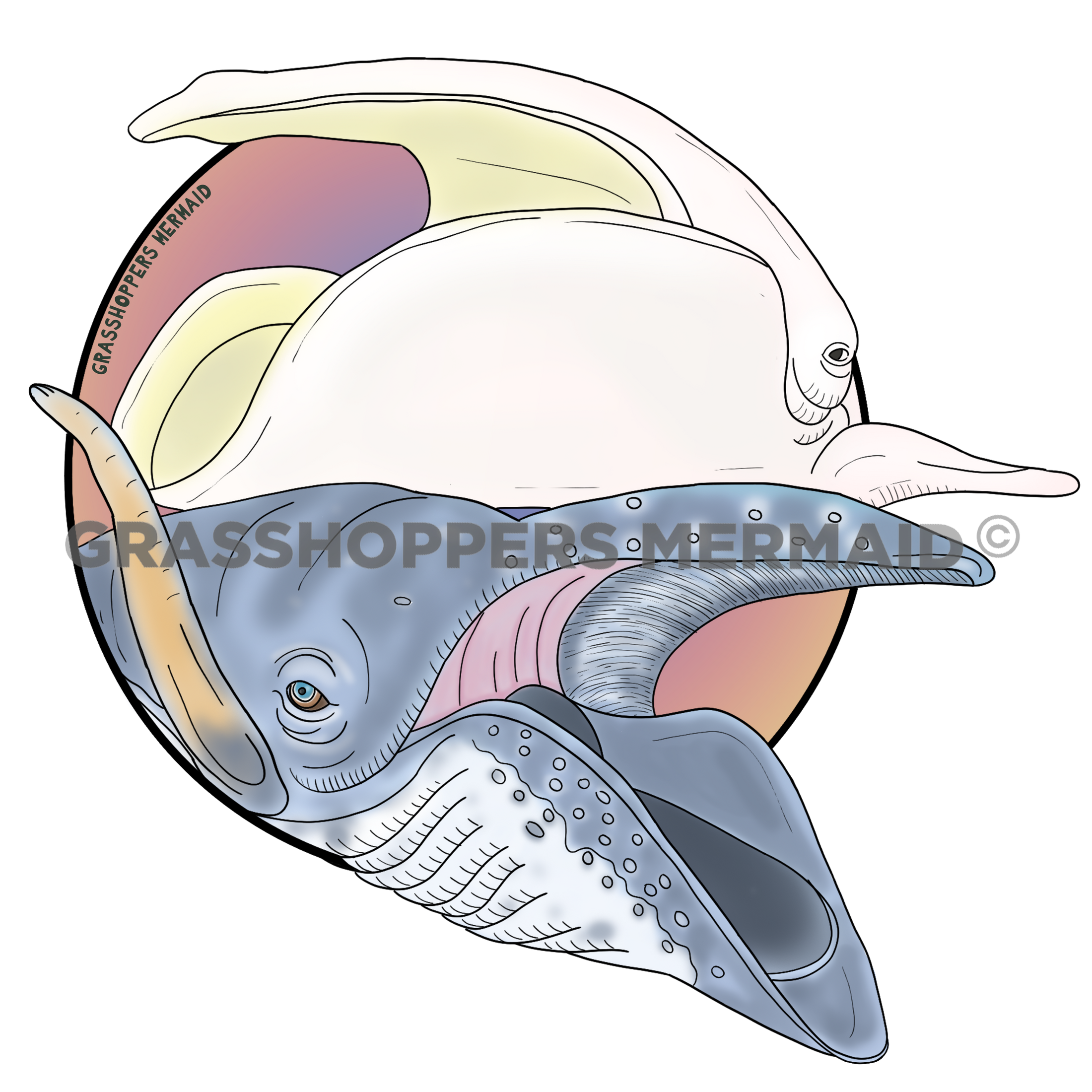 Bowhead Whale Friends
