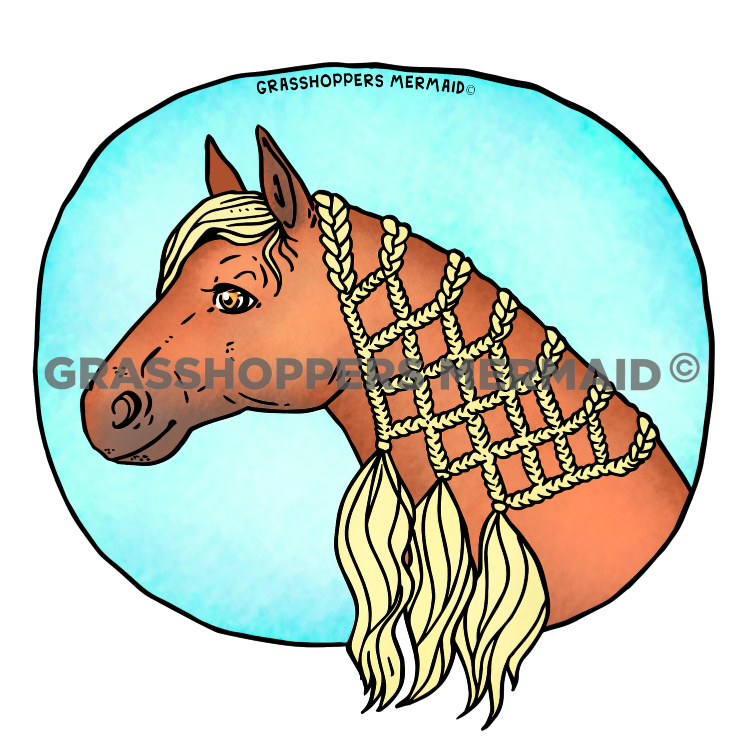 Braided Horse Hair