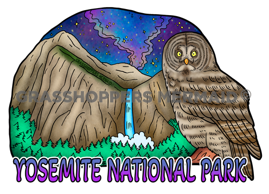 Bridalveil Fall Night Owl