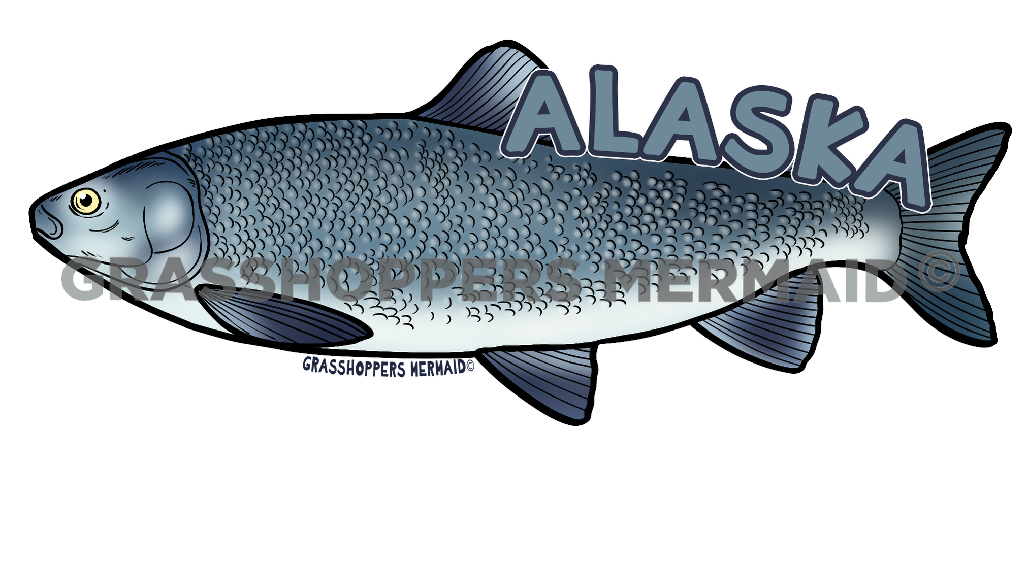 Broad Whitefish