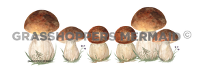 Brown Mushroom Lineup