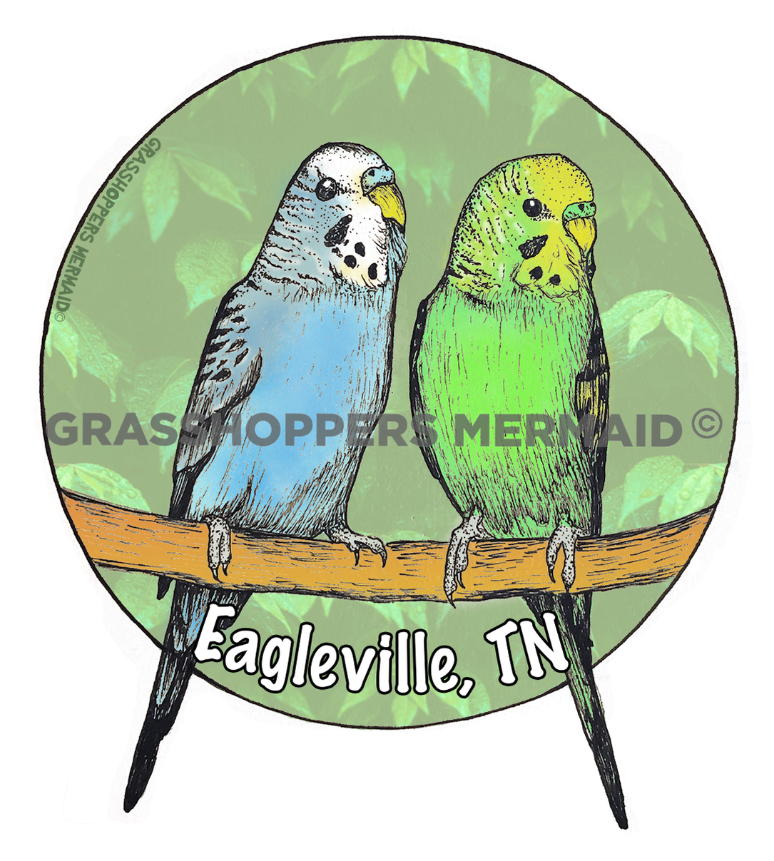 Parakeets