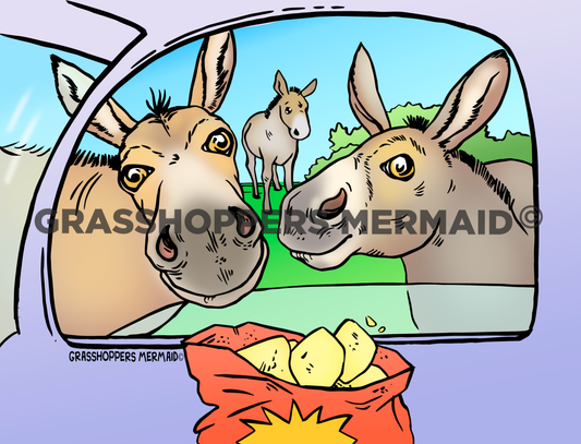 Burros Begging