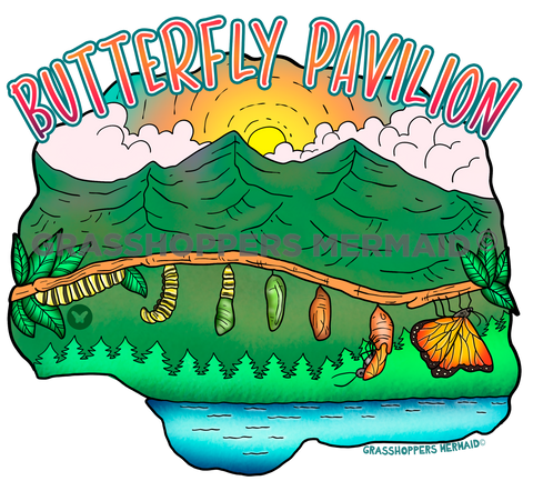 Butterfly Mountain Transition