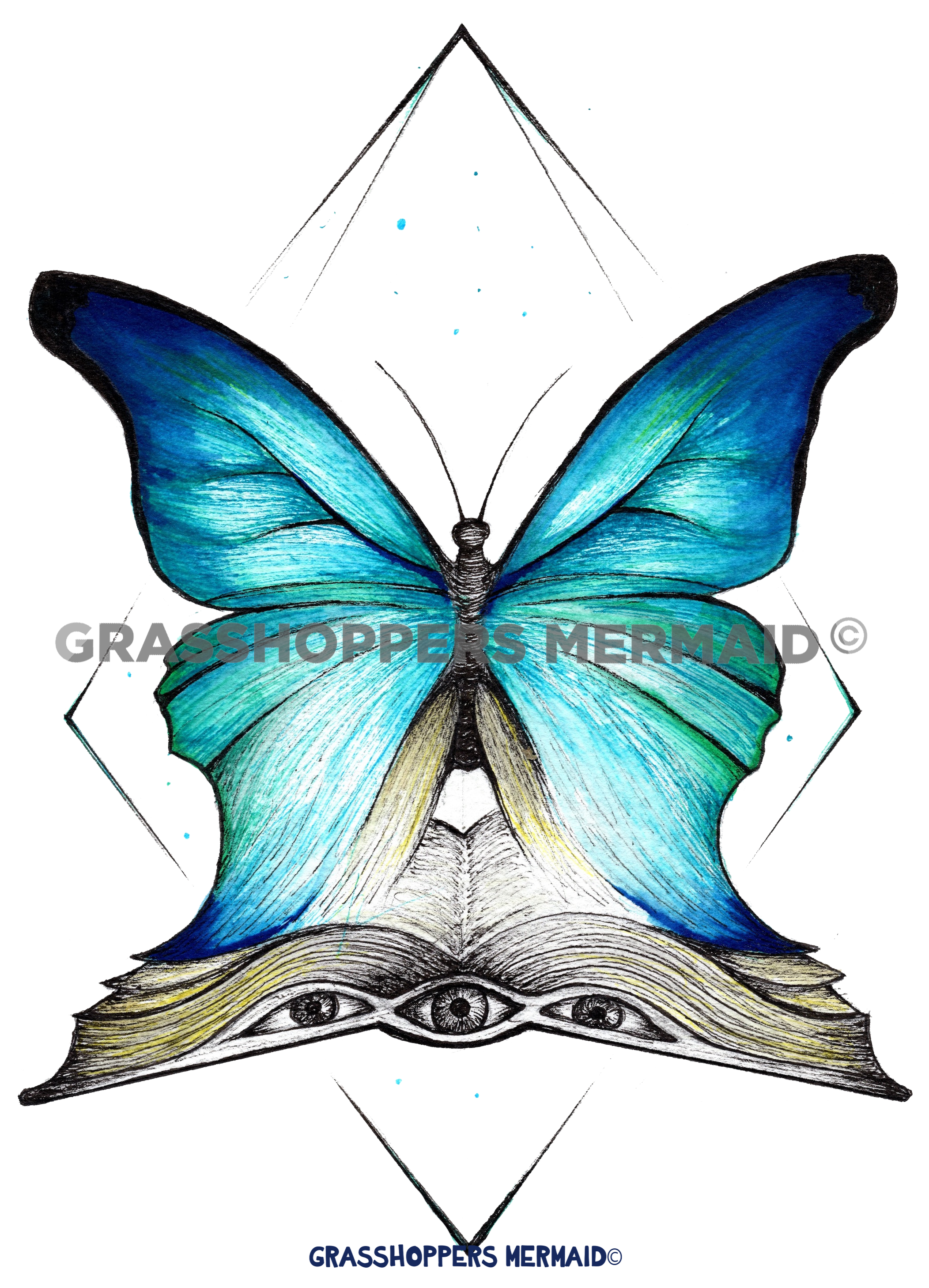 Butterfly Wisdom