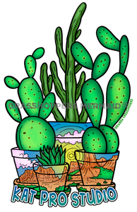 Cactus Desert Pots