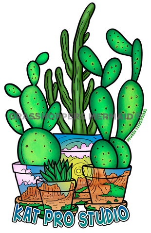 Cactus Desert Pots