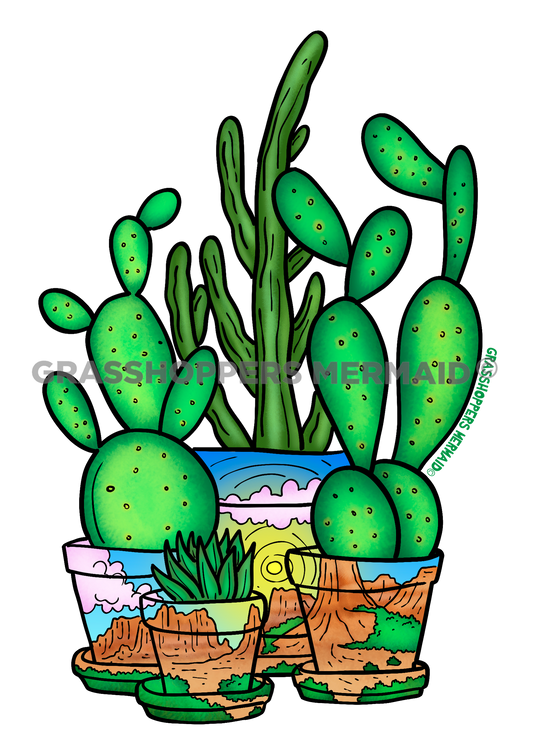 Cactus Desert Pots