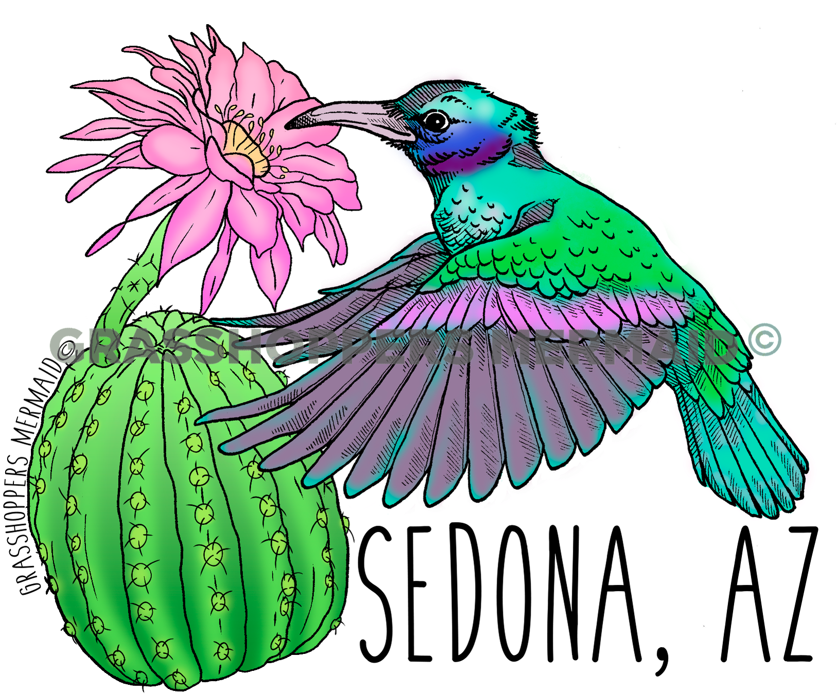 Cactus Hummingbird - Desert Nature Sticker