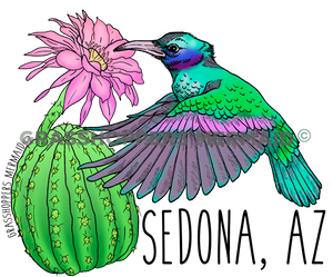 Cactus Hummingbird