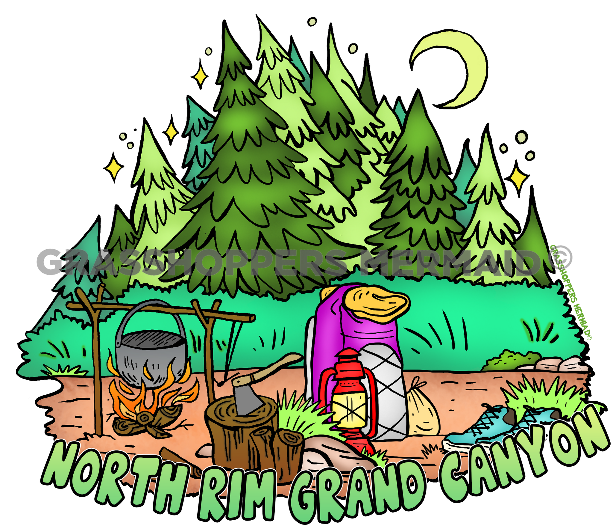 Campfire Set Up