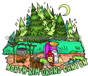 Campfire Set Up