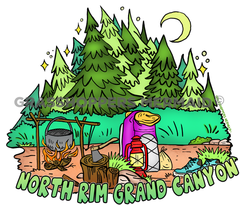 Campfire Set Up