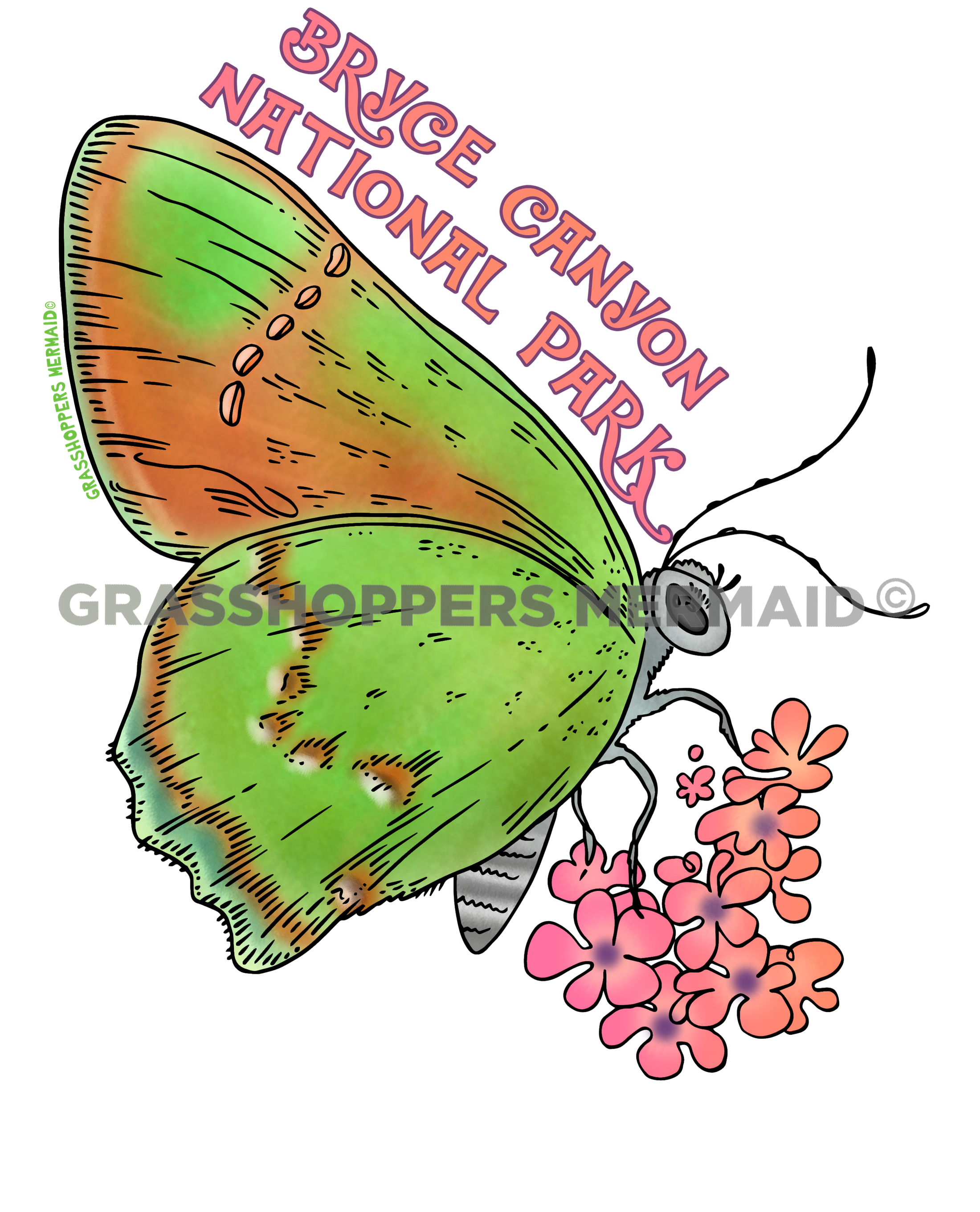 Canyon Bramble Hairstreak Butterfly