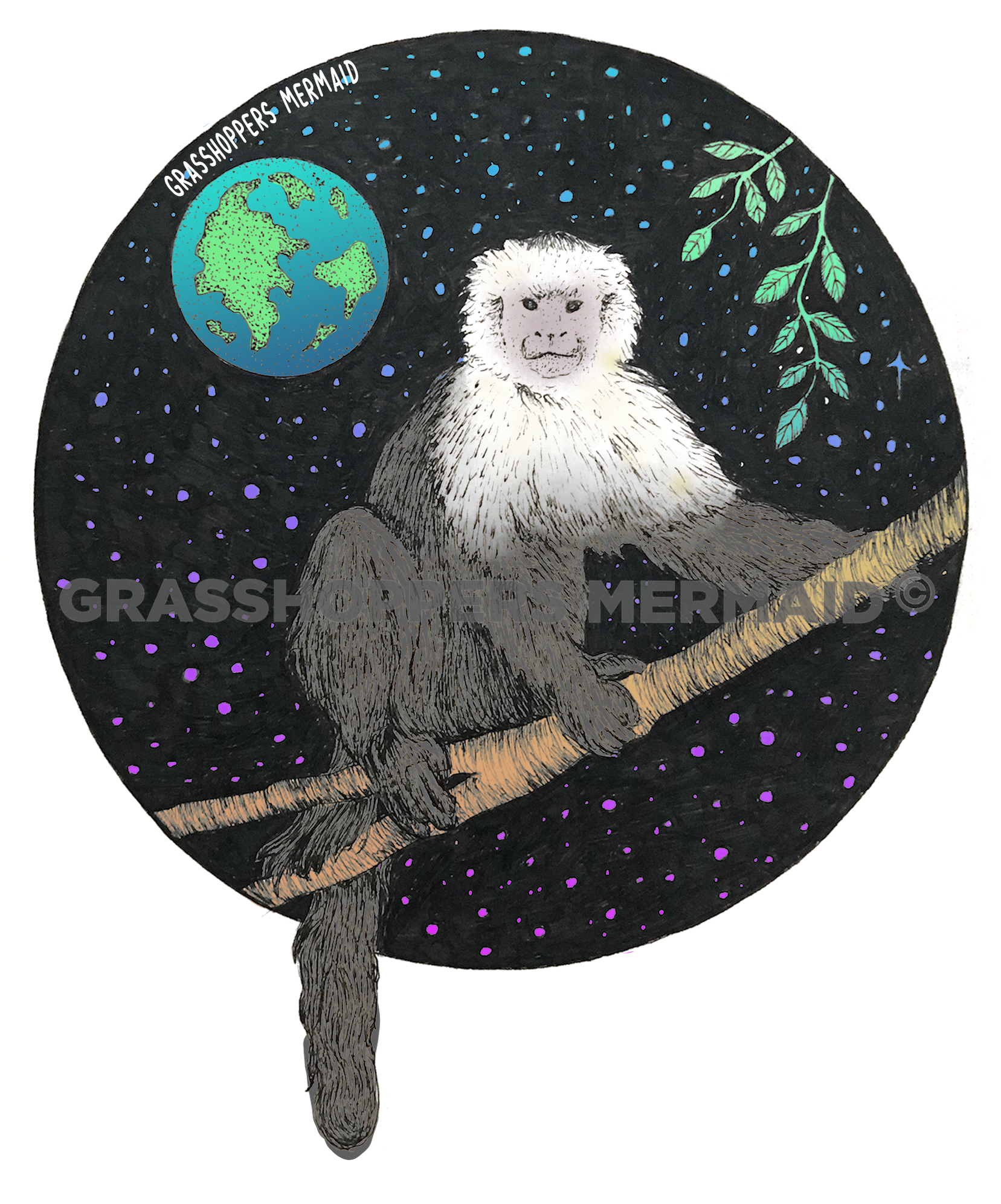 Capuchin