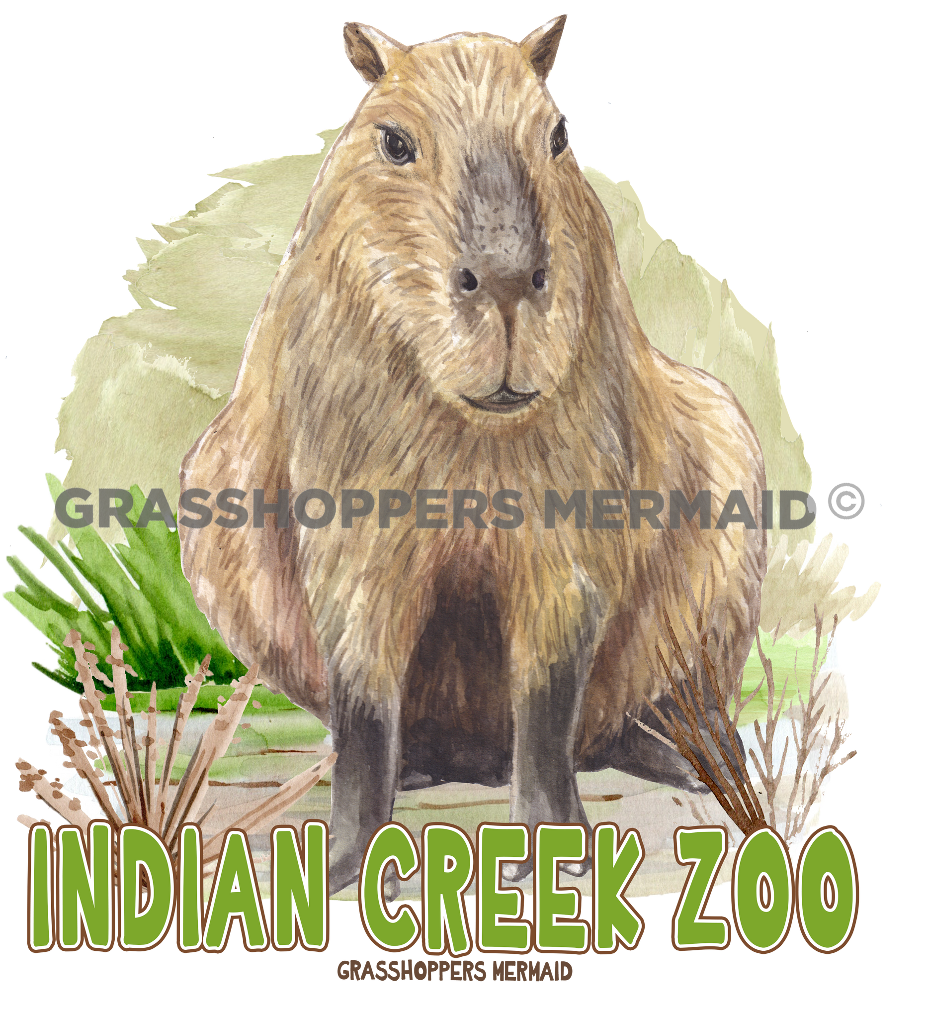 Capybara Landscape