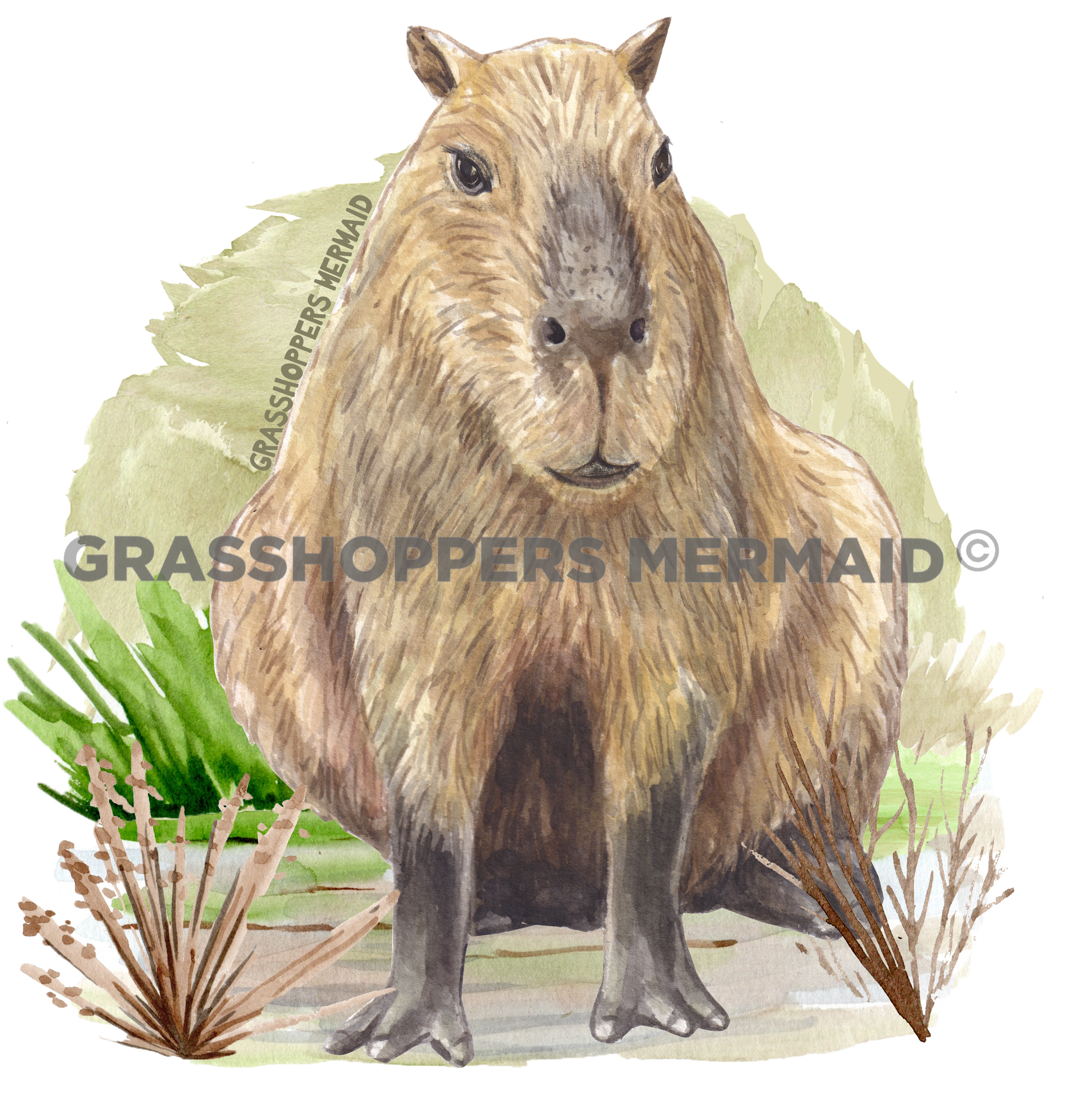 Capybara Landscape