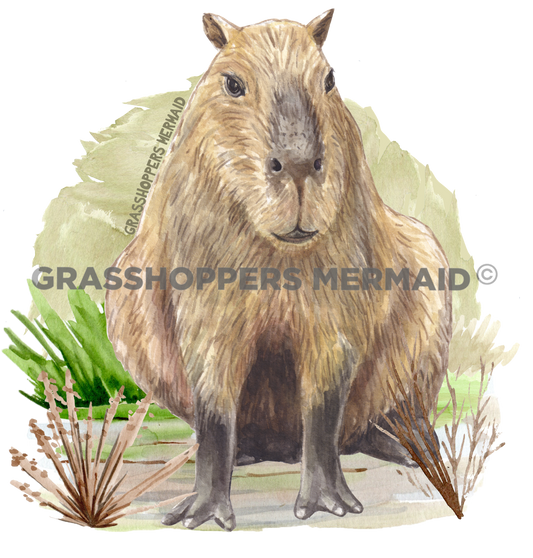 Capybara Landscape