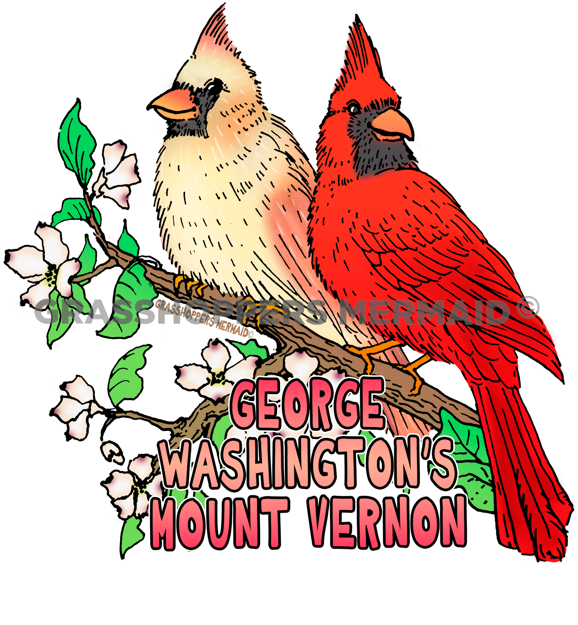 Cardinal Couple