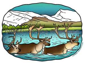Caribou Crossing Herd