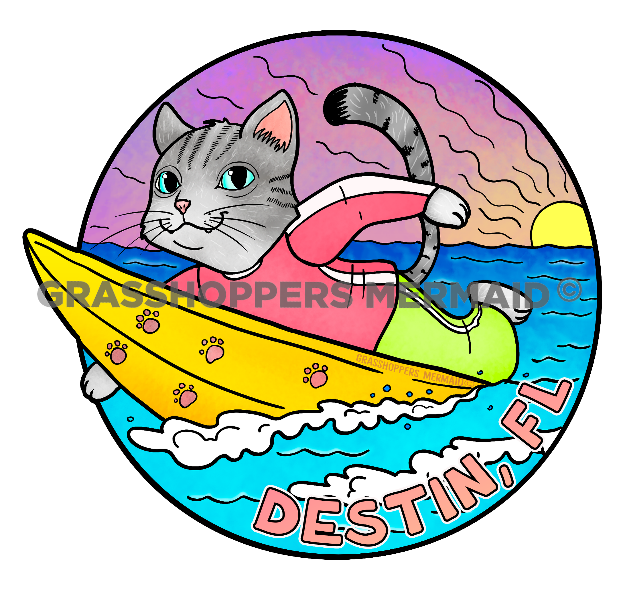 Cat Surfing