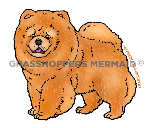 Chow Chow Dog