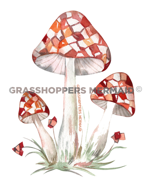 Checkered Mushroom Trio