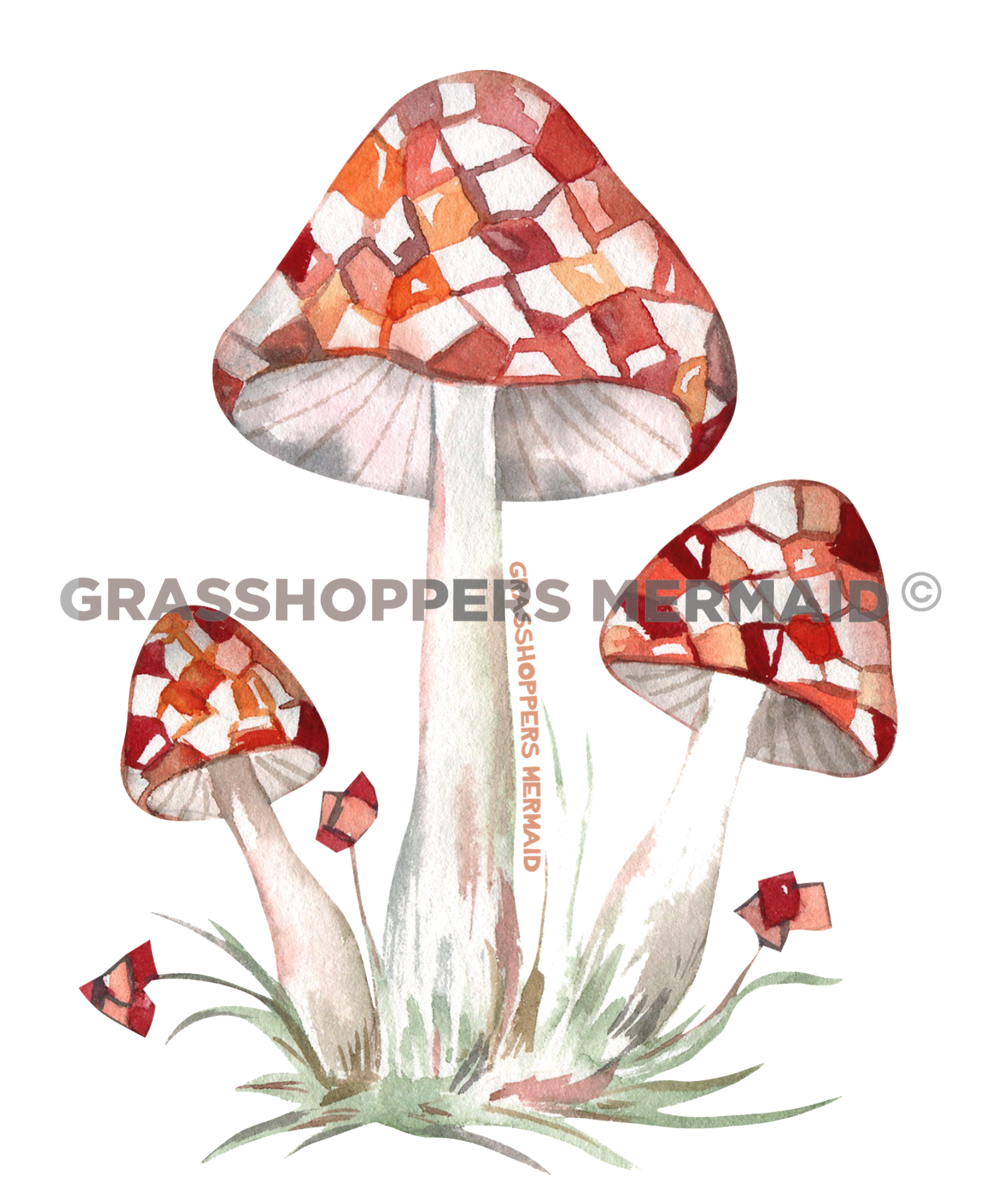 Checkered Mushroom Trio