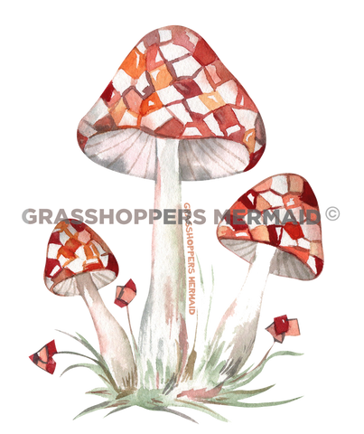 Checkered Mushroom Trio