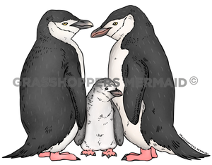 Chinstrap Penguin Family