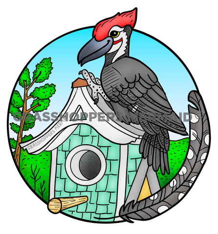 Chisel Woodpecker