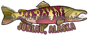 Chum Salmon