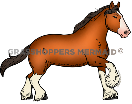 Clydesdale Strut