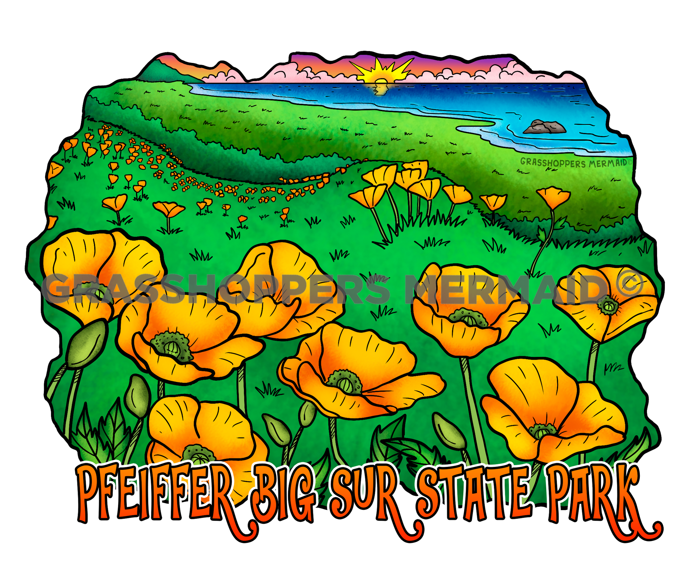 Coastal Poppies