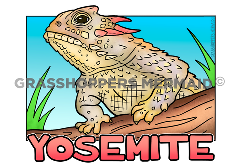 Coast Horned Lizard