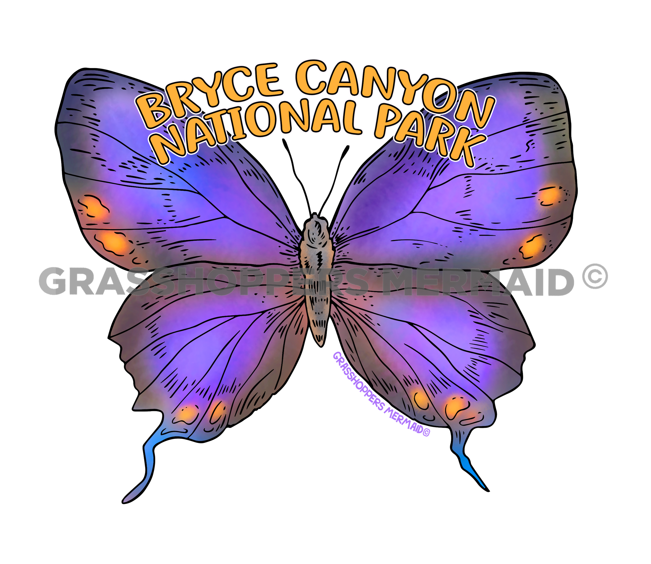 Colorado Hairstreak