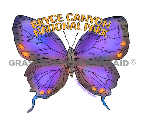 Colorado Hairstreak