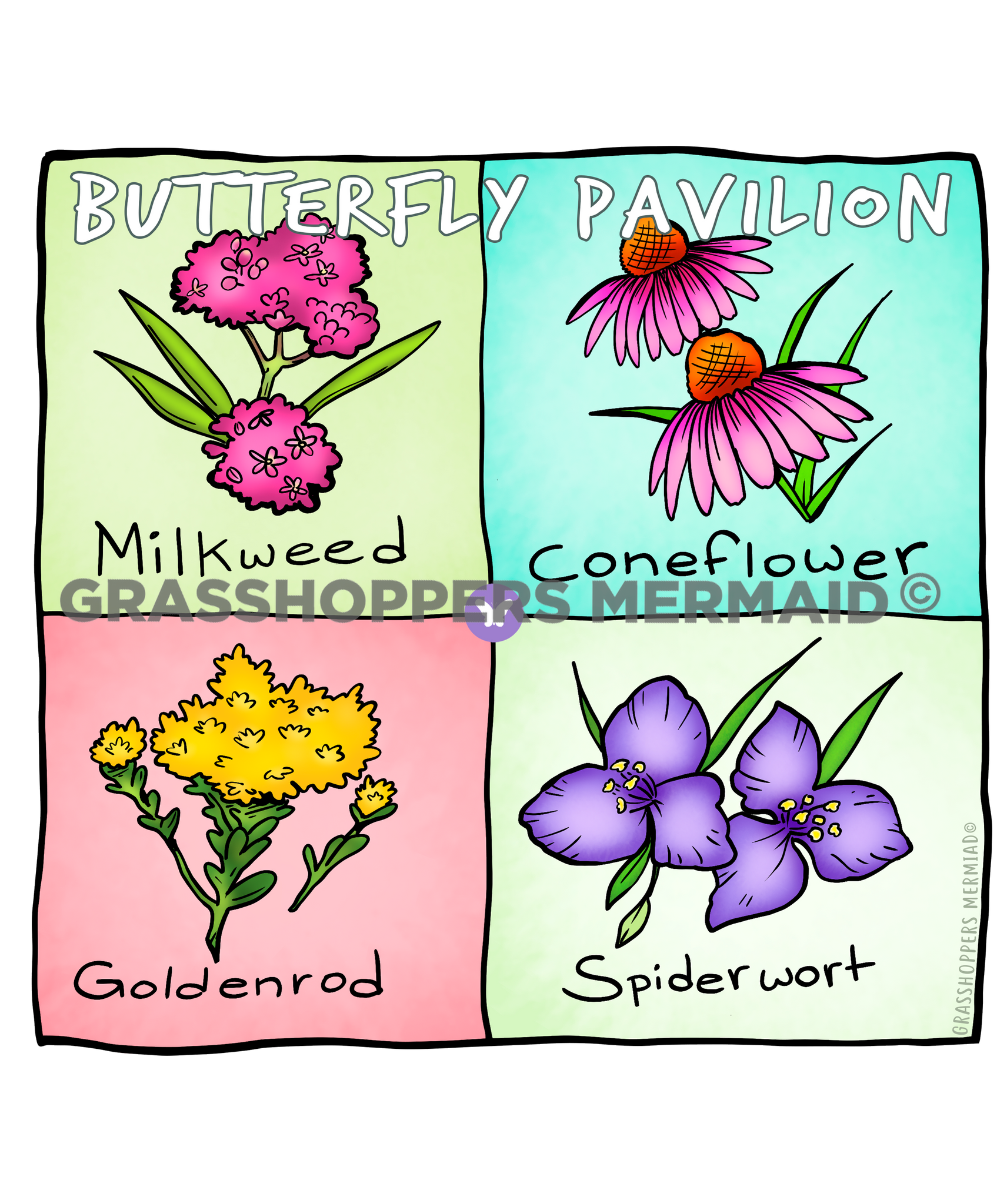 Colorado Native Flower Square